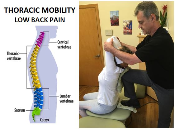 Symptoms, causes and Treatment of Thoracic Pain - Spinal Backrack