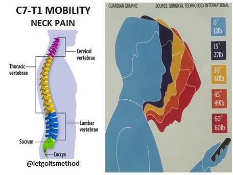 Thoracic Spine