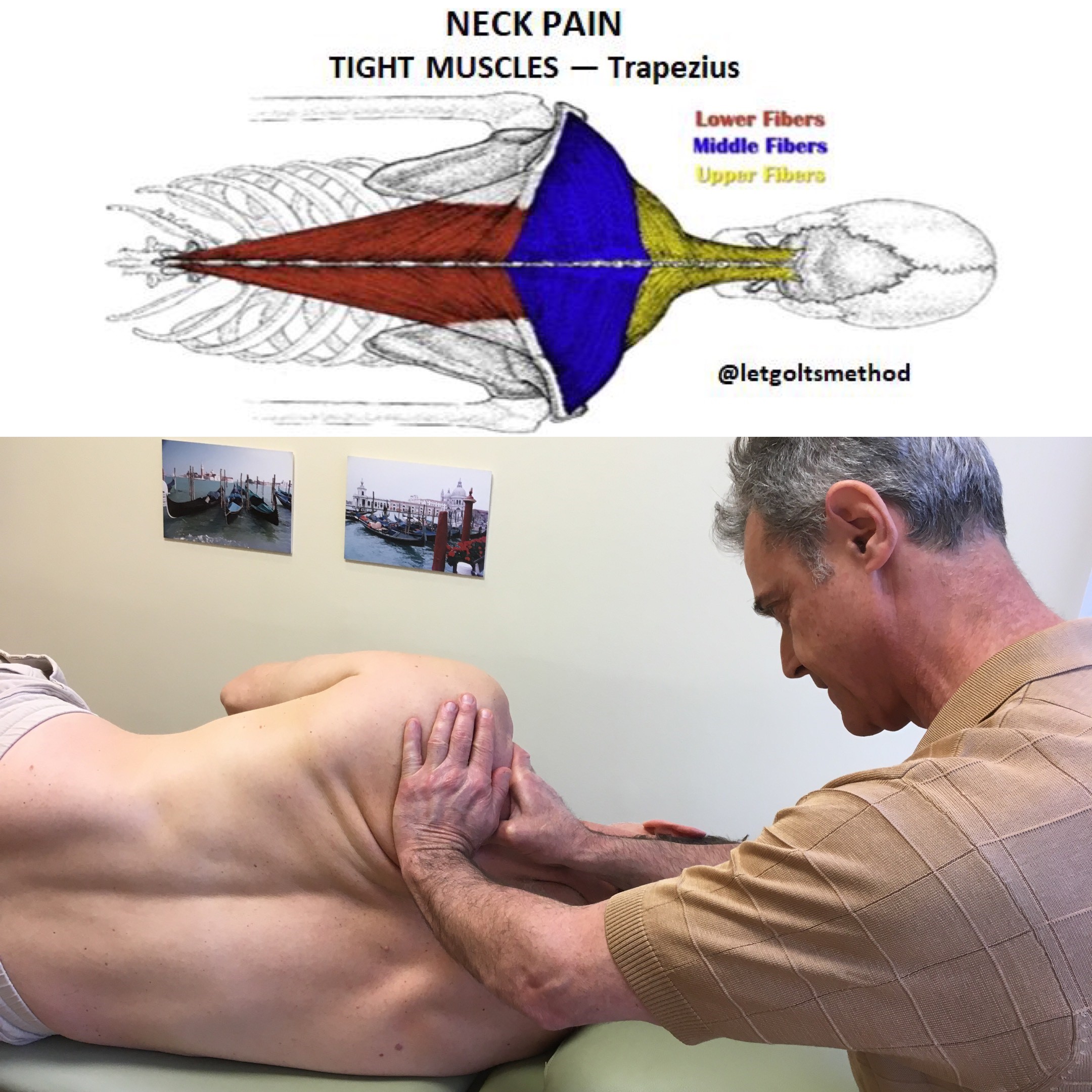 trapezius stretches