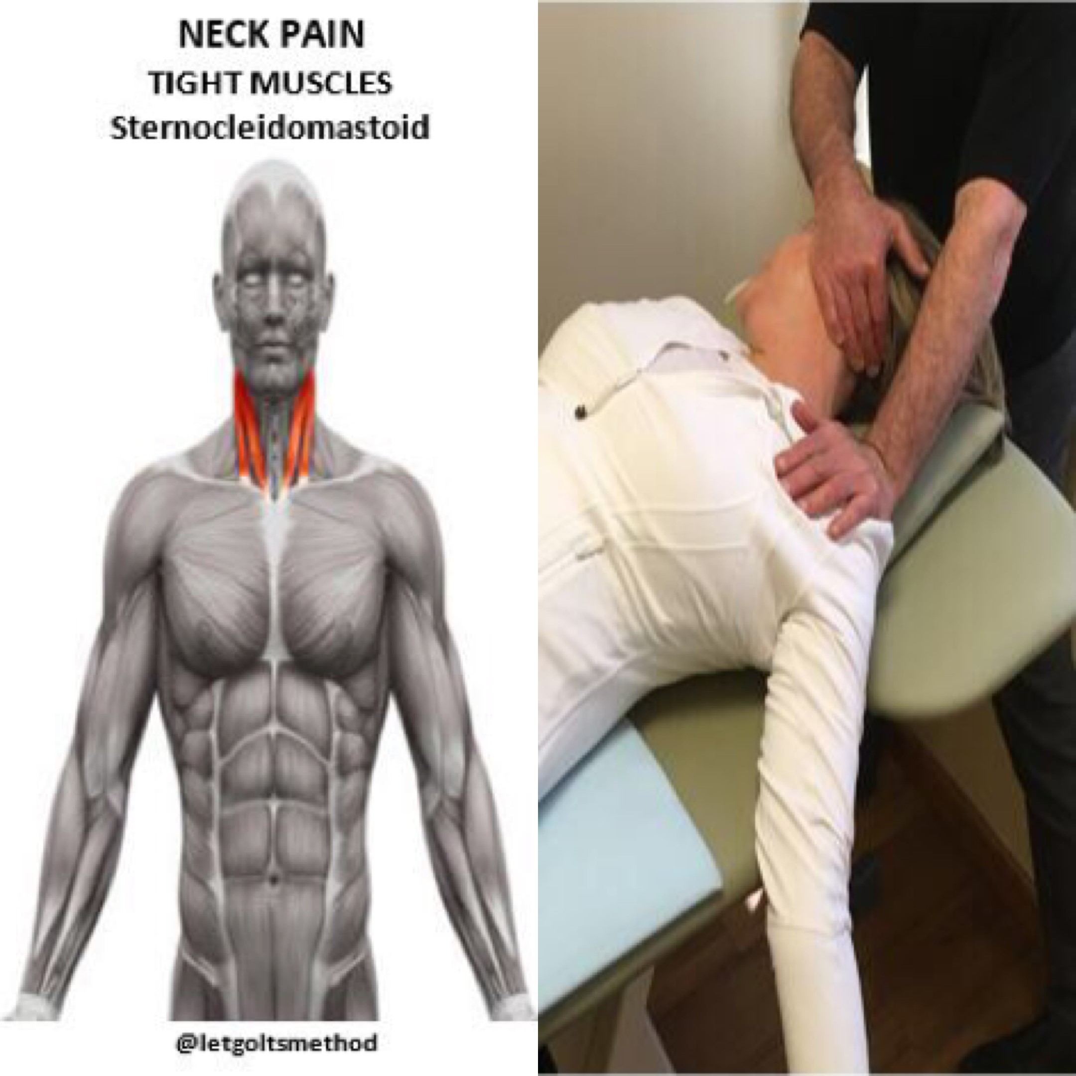 Neck Muscles Stretches